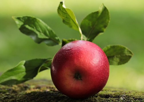 Jabłko a waga ciała